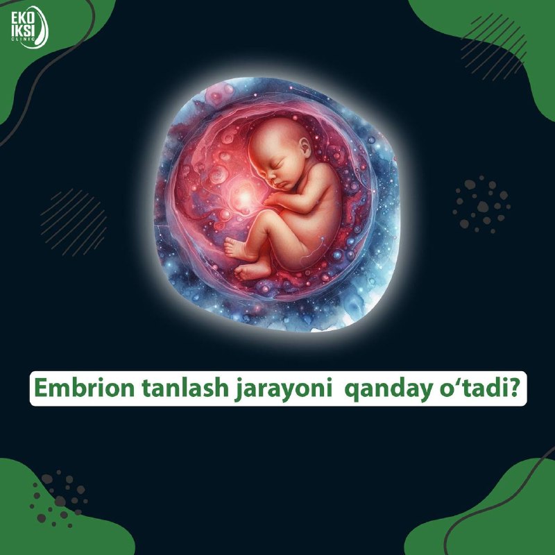 Embrion tanlash jarayoni qanday o‘tadi